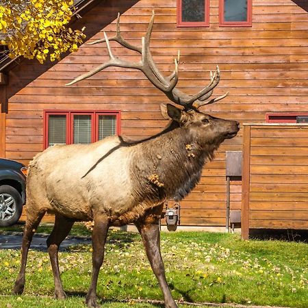 Rams Horn Village Resort Estes Park Eksteriør billede